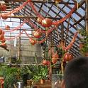SAM_0293 (2)